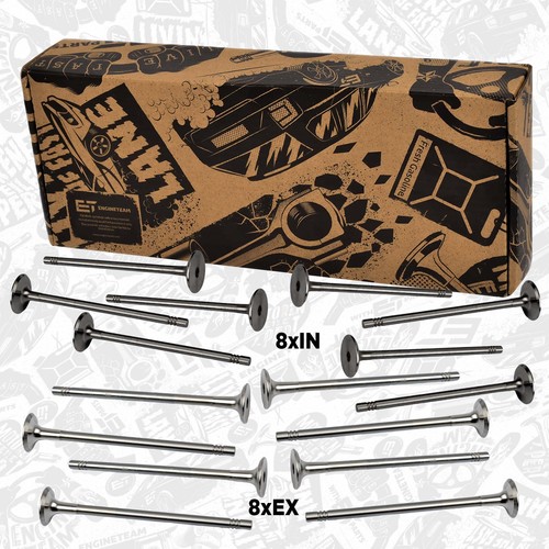 Einlass 8x - 8x, einlass-