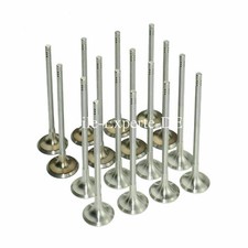 8x Einlassventile 8x