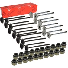 TRW Ein/Auslassventil