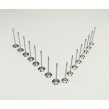 16 Ventile ( 8x Einlaßventil