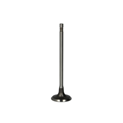Einlaßventil freccia r6663 - einlaßventil,