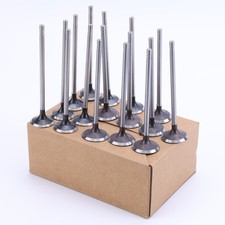 Einlass-Auslass Ventile 16X